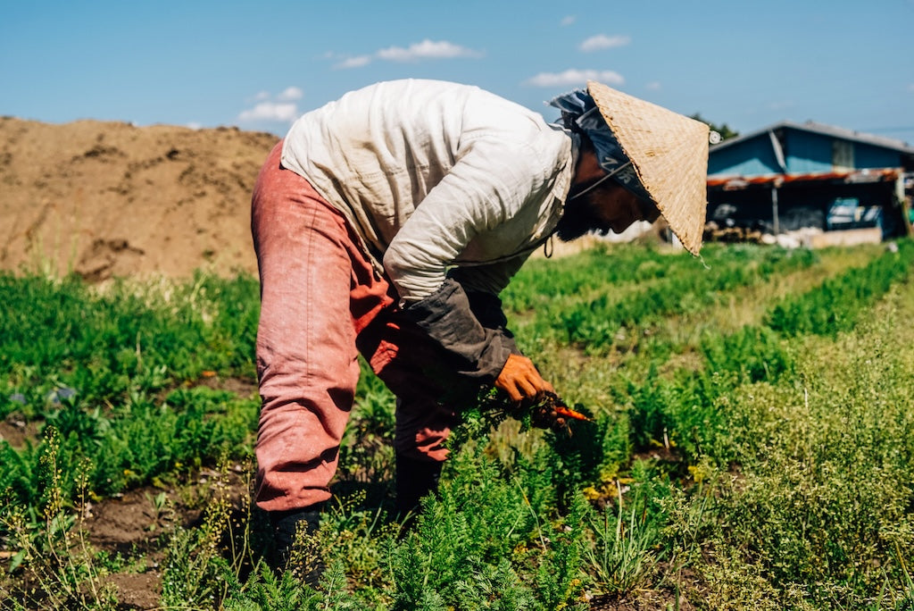 man tending his farm
